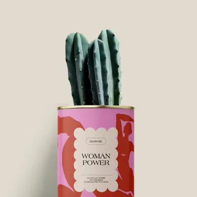 Gifts - Woman power - Mini Cactus - DIAIWAIE