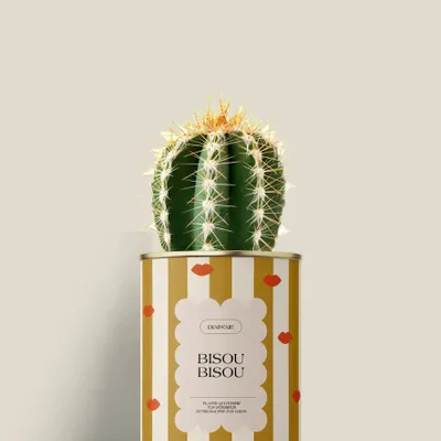 Gifts - Bisou bisou - Mini Cactus - DIAIWAIE
