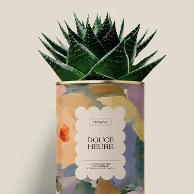 Gifts - Douce Heure - Maxi Aloé - DIAIWAIE