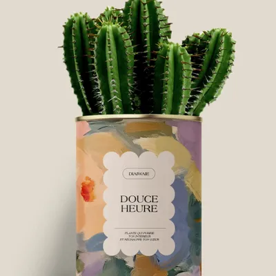 Cadeaux - Douce Heure - Maxi Cactus - DIAIWAIE