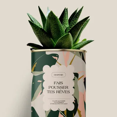 Gifts - Fais pousser tes rêves - Maxi Aloé - DIAIWAIE