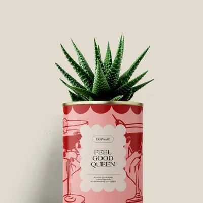 Cadeaux - FEEL GOOD QUEEN - Mini Aloé - DIAIWAIE