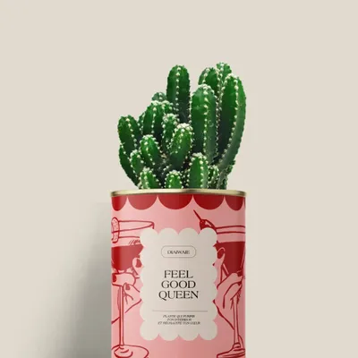 Cadeaux - FEEL GOOD QUEEN - Mini Cactus - DIAIWAIE