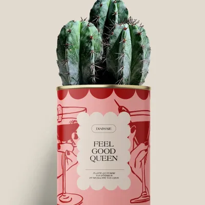 Gifts - FEEL GOOD QUEEN - Maxi Cactus - DIAIWAIE