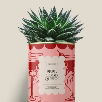 Cadeaux - FEEL GOOD QUEEN - Maxi Aloé - DIAIWAIE