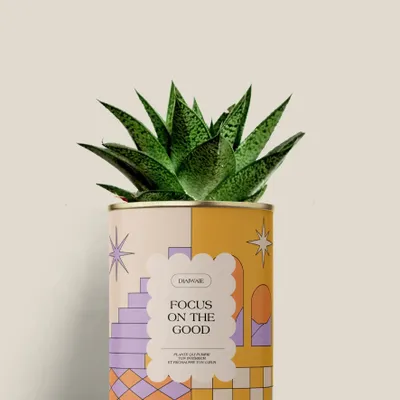 Cadeaux - Focus on the good - Mini Aloé - DIAIWAIE