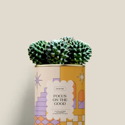 Cadeaux - Focus on the good - Mini Cactus - DIAIWAIE