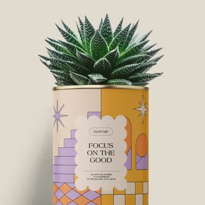 Gifts - Focus on the good - Maxi Aloé - DIAIWAIE