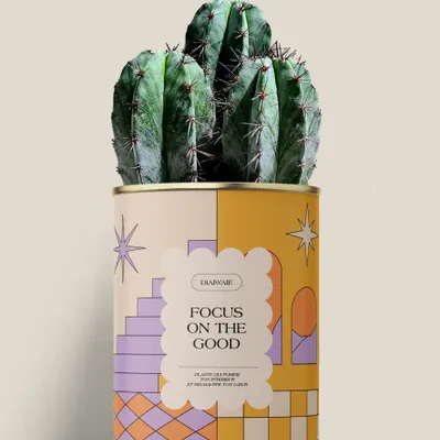 Cadeaux - Focus on the good - Maxi Cactus - DIAIWAIE