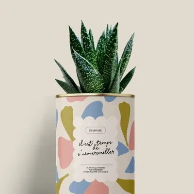 Gifts - Il est temps de s'aimerveiller - Mini Aloé - DIAIWAIE