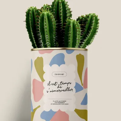 Gifts - Il est temps de s'aimerveiller - Maxi Cactus - DIAIWAIE