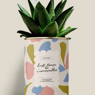 Gifts - Il est temps de s'aimerveiller - Maxi Aloé - DIAIWAIE