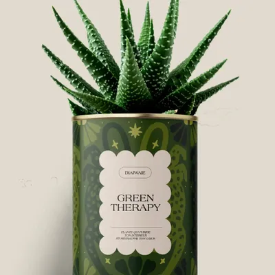 Gifts - GREEN THERAPY - Maxi Aloé - DIAIWAIE