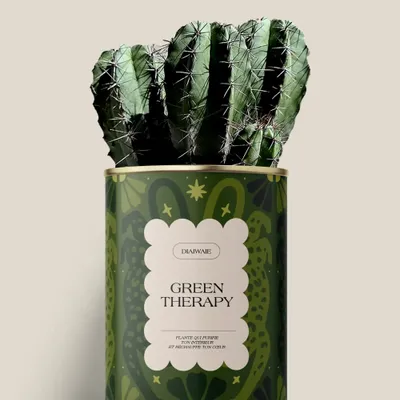 Gifts - GREEN THERAPY - Maxi Cactus - DIAIWAIE