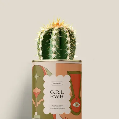 Gifts - G.R.L P.W.R - Mini Cactus - DIAIWAIE