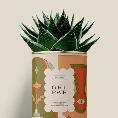 Cadeaux - G.R.L P.W.R - Maxi Aloé - DIAIWAIE
