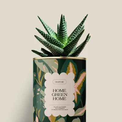 Cadeaux - Home Green Home - Mini Aloé - DIAIWAIE