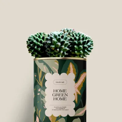 Cadeaux - Home Green Home - Mini Cactus - DIAIWAIE