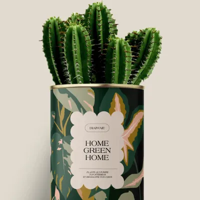 Gifts - Home Green Home - Maxi Cactus - DIAIWAIE