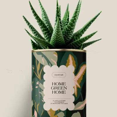 Cadeaux - Home Green Home - Maxi Aloé - DIAIWAIE