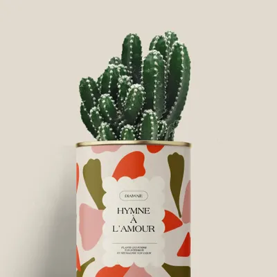 Gifts - Hymne à l'amour - Mini Cactus - DIAIWAIE