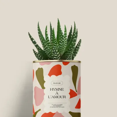 Cadeaux - Hymne à l'amour - Mini Aloé - DIAIWAIE