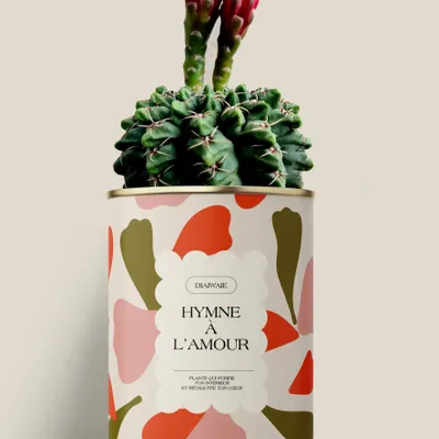 Gifts - Hymne à l'amour - Maxi Cactus - DIAIWAIE