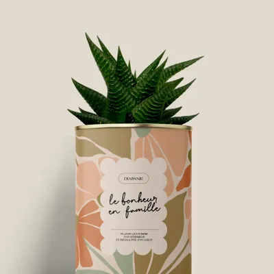 Cadeaux - Le bonheur en famille - Mini Aloé - DIAIWAIE