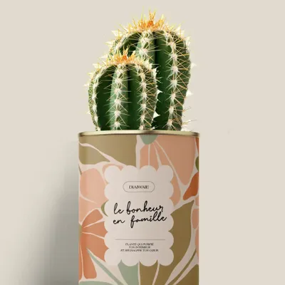 Gifts - Le bonheur en famille - Mini Cactus - DIAIWAIE