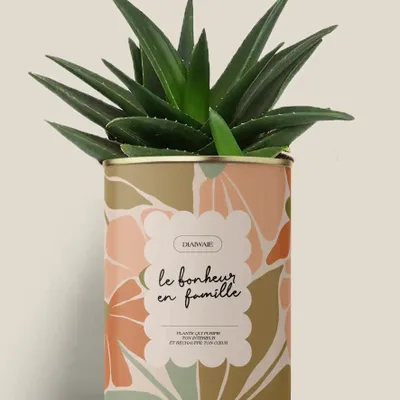 Cadeaux - Le bonheur en famille - Maxi Aloé - DIAIWAIE