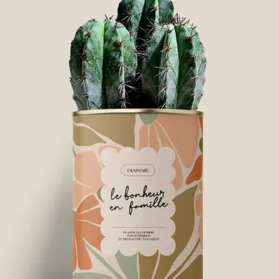 Gifts - Le bonheur en famille - Maxi Cactus - DIAIWAIE