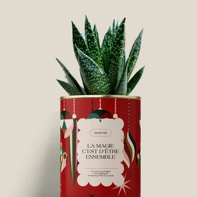 Cadeaux - LA MAGIE C'EST D'ÊTRE ENSEMBLE - Mini Aloé - DIAIWAIE