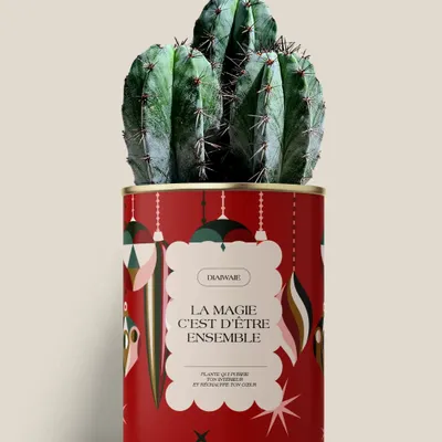 Gifts - LA MAGIE C'EST D'ÊTRE ENSEMBLE - Maxi Cactus - DIAIWAIE