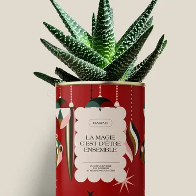 Cadeaux - LA MAGIE C'EST D'ÊTRE ENSEMBLE - Maxi Aloé - DIAIWAIE