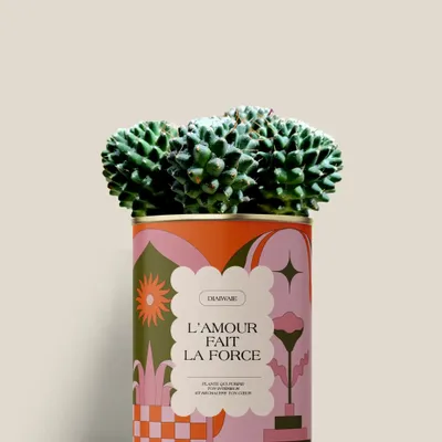 Gifts - L'AMOUR FAIT LA FORCE - Mini Cactus - DIAIWAIE