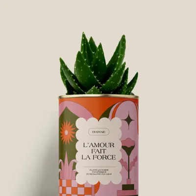 Cadeaux - L'AMOUR FAIT LA FORCE - Mini Aloé - DIAIWAIE