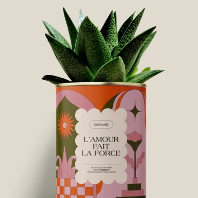 Gifts - L'AMOUR FAIT LA FORCE - Maxi Aloé - DIAIWAIE