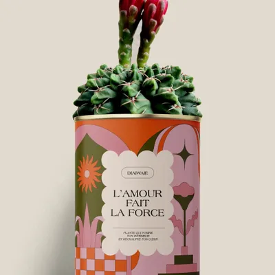 Gifts - L'AMOUR FAIT LA FORCE - Maxi Cactus - DIAIWAIE