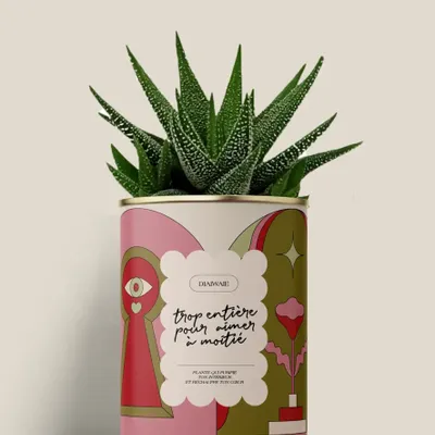 Cadeaux - Trop entière pour aimer à moitié - Mini Aloé - DIAIWAIE