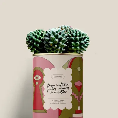 Gifts - Trop entière pour aimer à moitié - Mini Cactus - DIAIWAIE