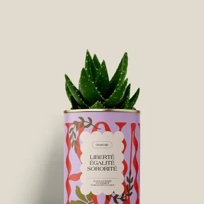 Cadeaux - Liberté égalité sororite - Mini Aloé - DIAIWAIE