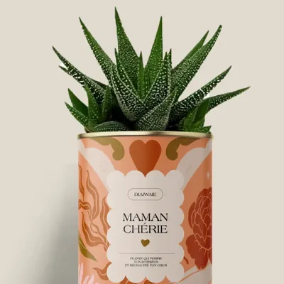 Gifts - Maman Chérie - Mini Aloé - DIAIWAIE