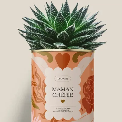 Gifts - Maman Chérie - Maxi Aloé - DIAIWAIE