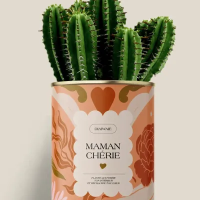 Cadeaux - Maman Chérie - Maxi Cactus - DIAIWAIE
