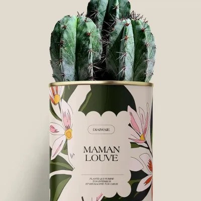 Cadeaux - Maman Louve - Maxi Cactus - DIAIWAIE