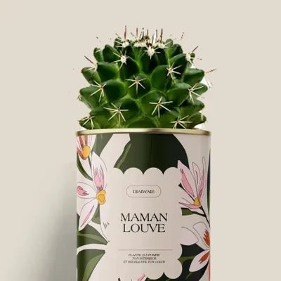 Gifts - Maman Louve - Mini Cactus - DIAIWAIE