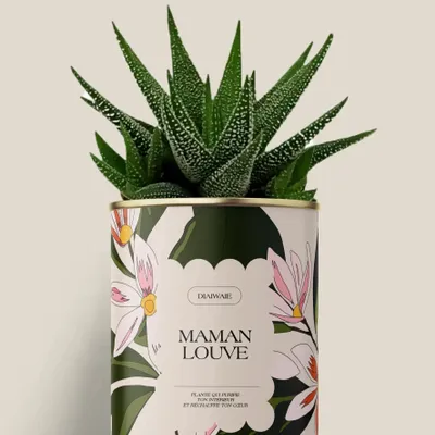 Cadeaux - Maman Louve - Mini Aloé - DIAIWAIE