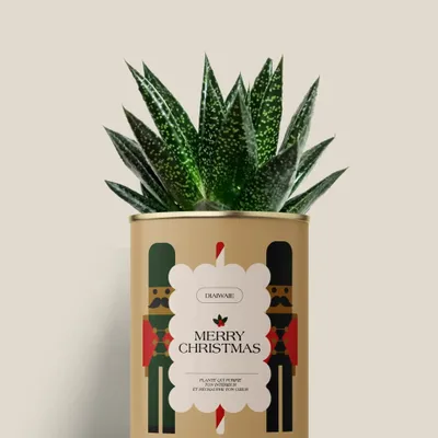 Gifts - Merry Chrismas - Mini Aloé - DIAIWAIE