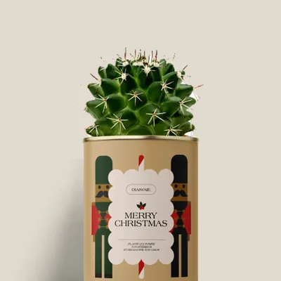 Cadeaux - Merry Chrismas - Mini Cactus - DIAIWAIE