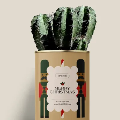 Gifts - Merry Chrismas - Maxi Cactus - DIAIWAIE